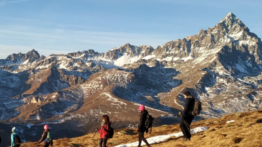MONTE FRIOLAND