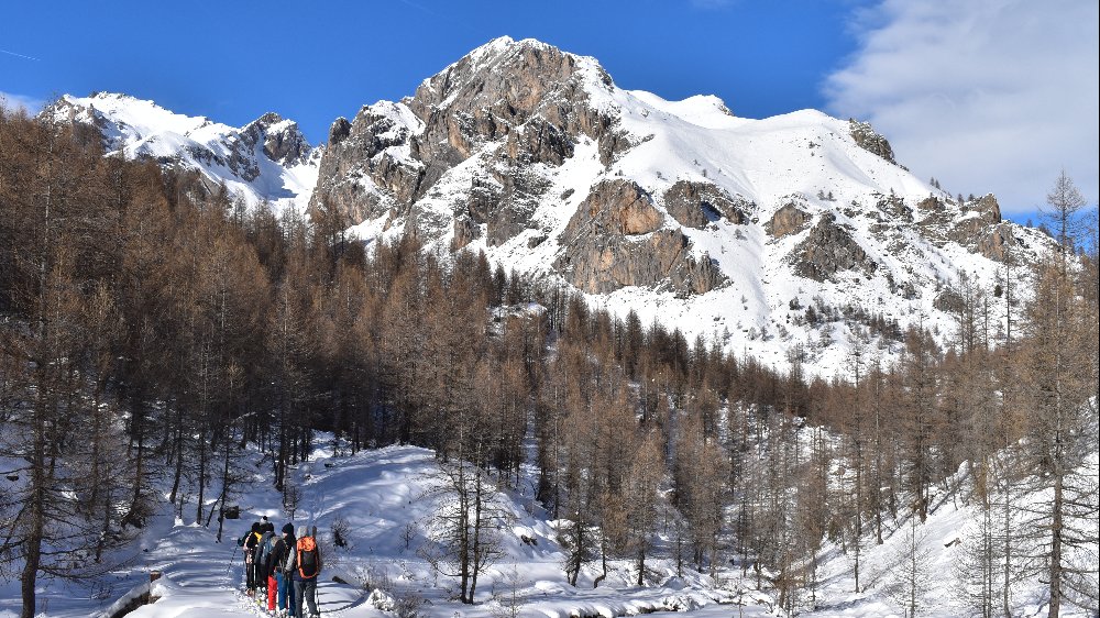 PANORAMI DOLOMITICI