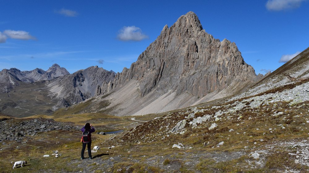 TOUR DELLA MEJA