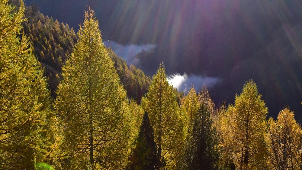 FOLIAGE NELLE VALLI DEL MONTE ROSA